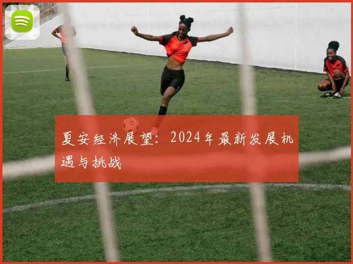 夏安经济展望：2024年最新发展机遇与挑战