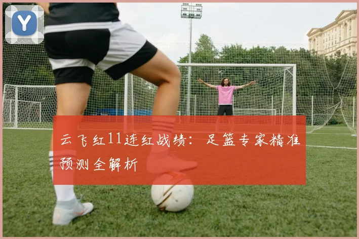 云飞红11连红战绩：足篮专家精准预测全解析