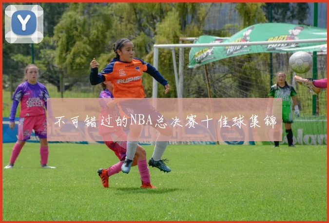 不可错过的NBA总决赛十佳球集锦