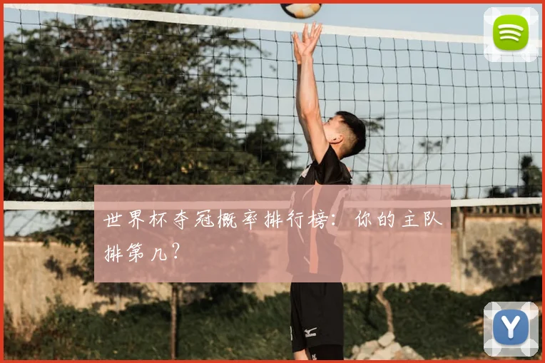 世界杯夺冠概率排行榜：你的主队排第几？
